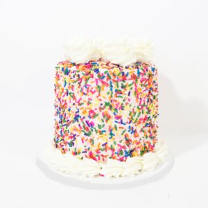 Confetti Cake With Sprinkles